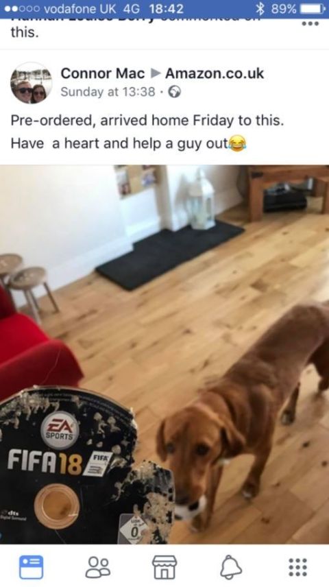 Πήρε το FIFA 18, του το έφαγε ο σκύλος αλλά...