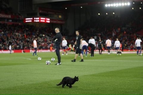 Η μαύρη γάτα του "Anfield"
