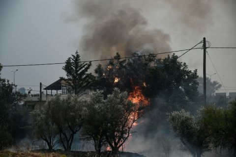 Στιγμιότυπο από την πυρκαγιά στις Αφίδνες