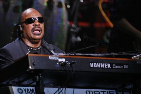 Musician Stevie Wonder performs during the first of two 25th Anniversary Rock & Roll Hall of Fame concerts in New York October 29, 2009.  REUTERS/Lucas Jackson (UNITED STATES ENTERTAINMENT)