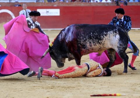 epaselect epa05417590 Spanish bullfighter Victor Barrio (bottom), 29, is gored during a bullfight held on the occasion of Feria del Angel in Teruel, Aragon (Spain), 09 July 2016. Barrio died due to the injures after being seriously gored by his third bull.  EPA/ANTONIO GARCIA