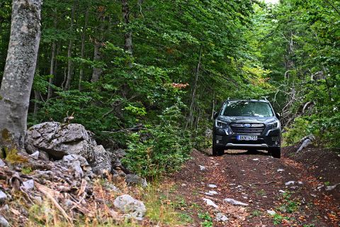 Ταξίδι: Στα Μαστοροχώρια και το Γράμμο με το τετρακίνητο SUV Subaru Forester