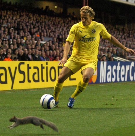 SPT_GCK_190406_
Arsenal V Villarreal  Champions League
Picture Graham Chadwick
Villareal Diego Forlan and Squirrel