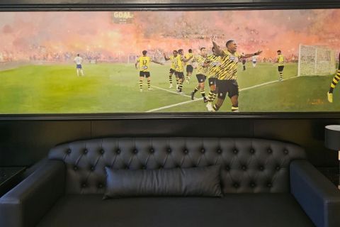 Ο πίνακας του ζωγράφου Αλέξανδρου Βακιρτζή στην αίθουσα του VVIP Lounge της OPAP Arena