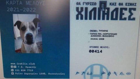 Οι Ηρακλειδείς έβγαλαν κάρτα μέλους στον Τυπάρα, τον σκύλο του Ιβανωφείου