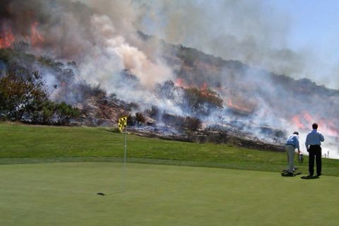 Έκαψε δάσος παίζοντας... γκολφ!