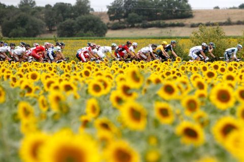 Tour de France, fight for yellow!