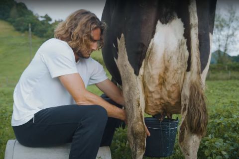 Ο Στέφανος Τσιτσιπάς αρμέγει μια αγελάδα στο Σάο Μιγκέλ