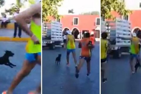 Μαραθωνοδρόμος κλωτσάει σκύλο κατά τη διάρκεια αγώνα στο Μεξικό