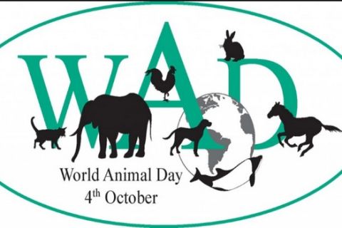 Εκπλήσσει ευχάριστα η ΠΑΕ ΑΕΚ: Ανάρτηση για την παγκόσμια ημέρα ζώων με... Μαχάτμα Γκάντι