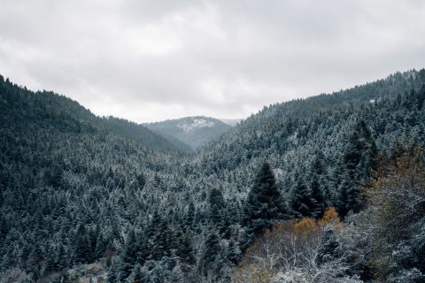 3 Days Break Vol. 3: Το πρώτο χιόνι και οι μαγικές διαδρομές στη Βυτίνα