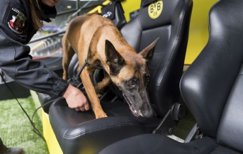 A sniffing dog and its handler search the stadium in Dortmund, western Germany, Wednesday, April 12, 2017 prior to the postponed Champions League quarterfinal first leg soccer match between Borussia Dortmund and AS Monaco. The match was cancelled the day before after an explosive device exploded near Dortmund's team bus injuring a player and a police officer. (Guido Kirchner/dpa via AP)