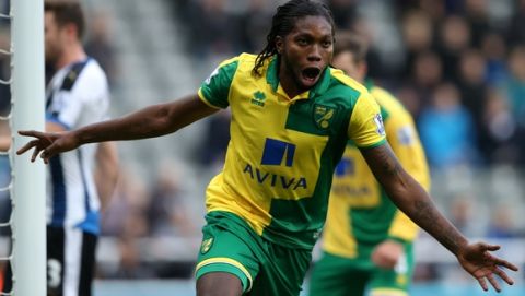 Norwich City's Dieumerci Mbokani celebrates his goal during their English Premier League soccer match between  Newcastle United and  Norwich City at St James' Park, Newcastle, England, Sunday, Oct. 18, 2015. (AP Photo/Scott Heppell)
