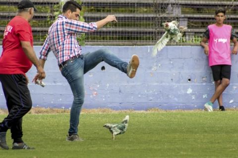 In this Sunday, March 11, 2018 photo, Fenix first-division club director Gaston Alegari kicks a hen after supporters from his club threw two chickens painted in white and green, the colors of the opponents Racing, on to the field during their league soccer match, in Montevideo, Uruguay. Uruguays soccer association decided on Tuesday that Fenix will have to play one match away from their home stadium because of the incident. The incident has also made Alegari a target of criticism from animal rights groups and fans after he violently kicked one of the chickens off the pitch. (AP Photo/Mauricio Castillo)