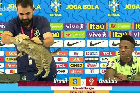 Μουντιάλ 2022, Βραζιλία: Γάτα εισέβαλε στη συνέντευξη Τύπου του Βινίσιους και ο pressofficer την πέταξε με άσχημο τρόπο από το τραπέζι