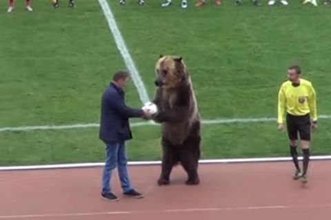 ΜΟΝΟ ΣΤΗ ΡΩΣΙΑ! Μία αρκούδα έδωσε μπάλα στον διαιτητή και χειροκροτούσε με το κοινό