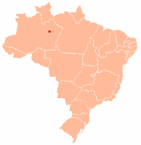 Αρένα Αμαζόνια