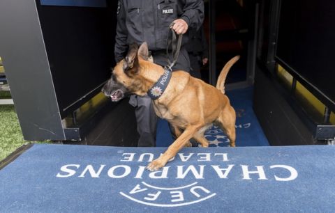 A sniffing dog and its handler search the stadium in Dortmund, western Germany, Wednesday, April 12, 2017 prior to the postponed Champions League quarterfinal first leg soccer match between Borussia Dortmund and AS Monaco. The match was cancelled the day before after an explosive device exploded near Dortmund's team bus injuring a player and a police officer. (Guido Kirchner/dpa via AP)
