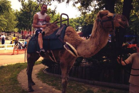 Ο Λοτζέσκι με την καμήλα του!