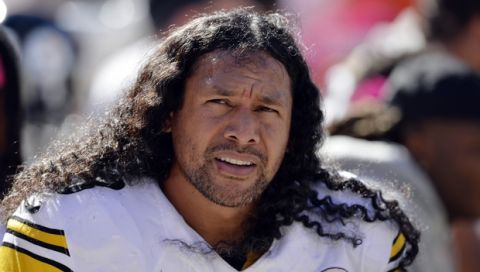 Pittsburgh Steelers strong safety Troy Polamalu watches form the bench in the second quarter of an NFL football game against the Cleveland Browns Sunday, Oct. 12, 2014, in Cleveland. (AP Photo/David Richard)