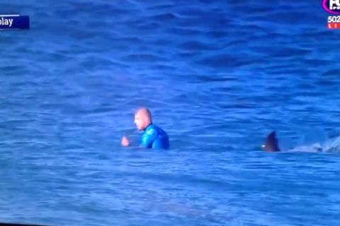 Του επιτέθηκε καρχαρίας και σώθηκε αφού τον χτύπησε