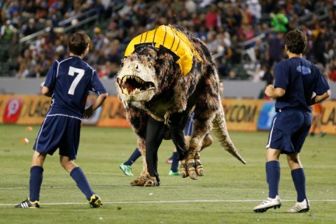May 26, 2013. A Tyrannosaurus Rex dinosaur costume runs on the field as young boys play an exhibition soccer match during halftime of the MLS soccer game between the Los Angeles Galaxy and Seattle Sounders FC in Carson, California. The dinosaur was on the field to promote the Natural History Museum of Los Angeles County. 