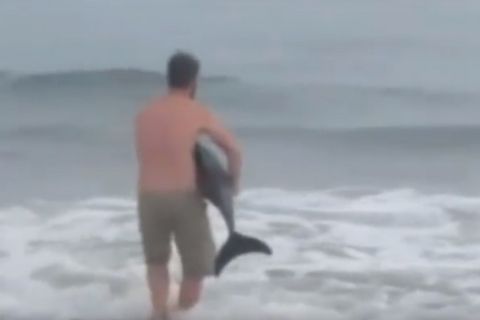 ΕΠΙΤΕΛΟΥΣ: Βρέθηκε ένα λογικός άνθρωπος που αντί να βγάλει selfie με δελφίνι, το έσωσε!