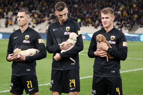 Οι παίκτες της ΑΕΚ με σκυλάκια αγκαλιά πριν την έναρξη του αγώνα με τον Ατρόμητο | 17 Οκτωβρίου 2021