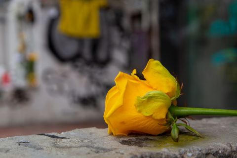 Ένα κίτρινο λουλούδι στον τόπο όπου έχασε τη ζωή του ο 19χρονος οπαδός | 1 Φεβρουαρίου 2022
