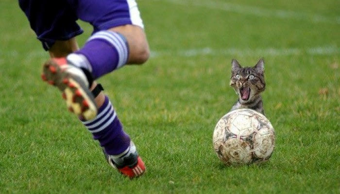 Μη βιάζεσαι, μη προσπερνάς…