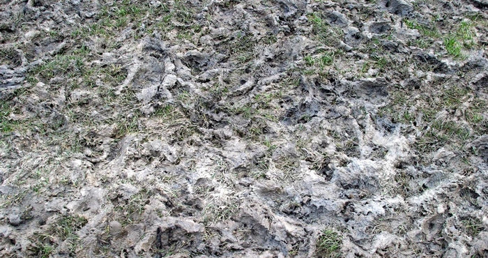 Νέο πρόβλημα με το γήπεδο