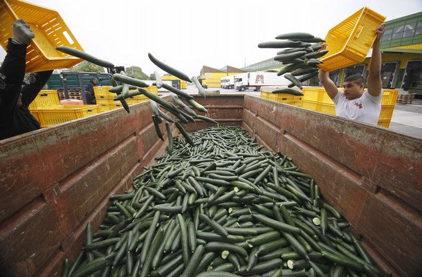 Ο ιός “E.Coli” κυνηγάει τους κωπηλάτες