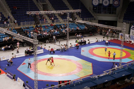 Συλλέκτες μεταλλίων…