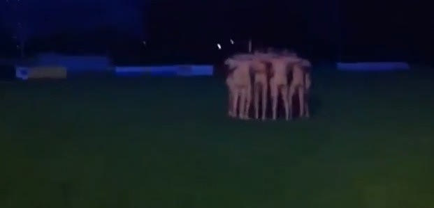 Πανηγύριζαν γυμνοί την άνοδο!