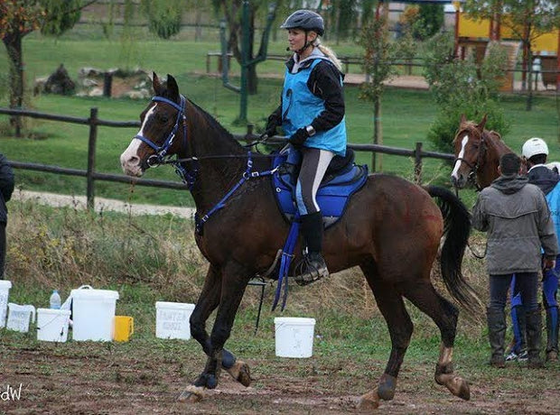 Endu Race 2014: Με χιλιάδες άλογα η εκκίνηση