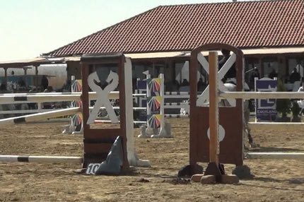 “Χρυσοί” Τουλούπης και Βαρδινογιάννης στην Ευρώπη