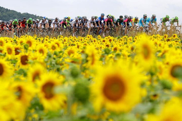 Tour de France, fight for yellow!