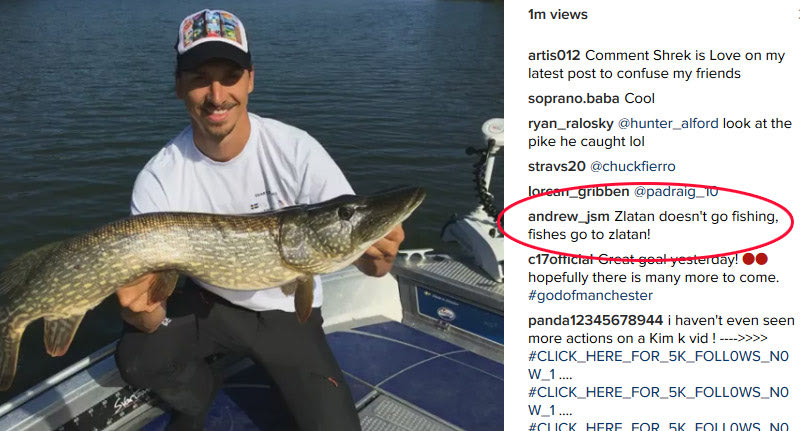 Σχόλιο για oscar στο instagram του Ιμπραχίμοβιτς!
