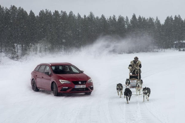 6 huskies εναντίων 300… αλόγων