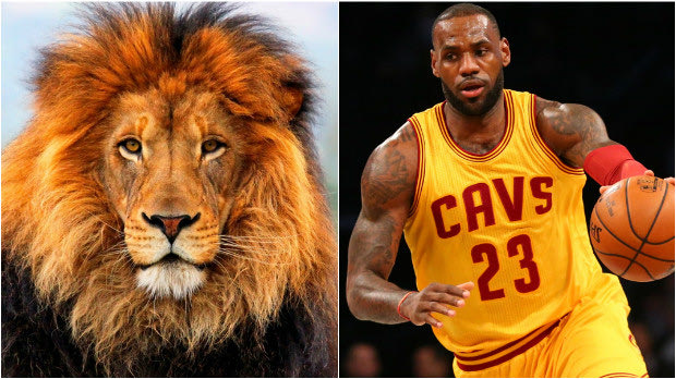 Τρομερό βίντεο: Έκανε τον LeBron… λιοντάρι το Bleacher report!