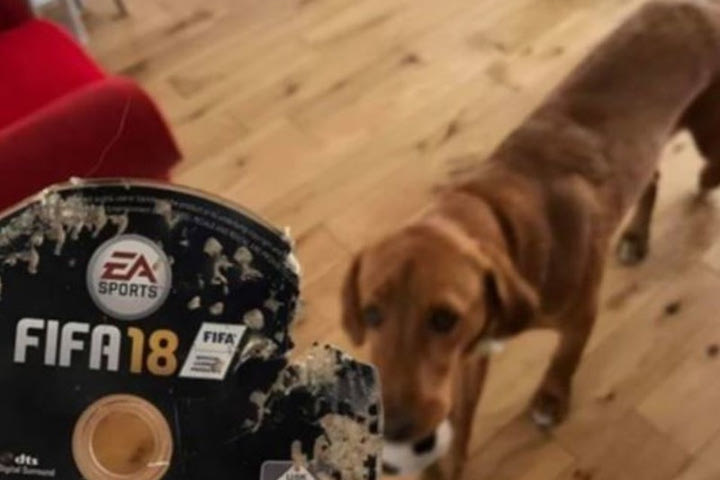 Πήρε το FIFA 18, του το έφαγε ο σκύλος αλλά…