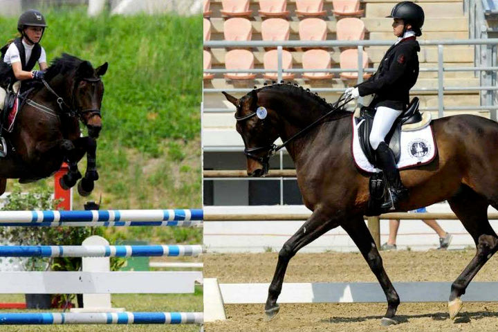 Στο κλειστό ιπποδρόμιο οι 70οι Πανελλήνιοι Αγώνες
