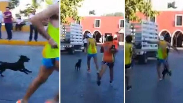 Μαραθωνοδρόμος κλωτσάει σκύλο κατά τη διάρκεια αγώνα στο Μεξικό
