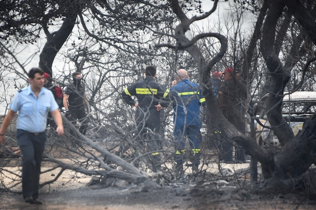 H Nova στο πλευρό των πληγέντων από τις καταστροφικές πυρκαγιές