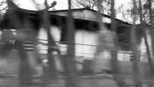 VIDEO: Το ανατριχιαστικό οδοιπορικό της δημοσιογράφου της ΕΡΤ στα καμένα