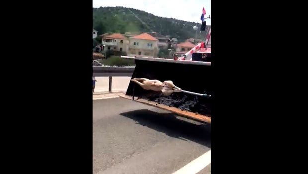 Σούβλισαν αρνί σε κροατικό τρακτέρ! (VIDEO)