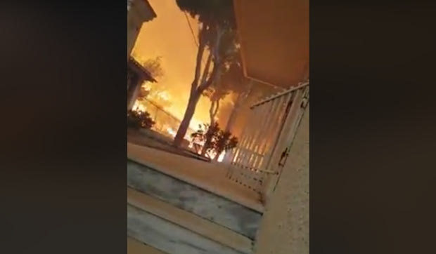 VIDEO-ΣΟΚ από το Μάτι: Προσπάθησε να σώσει γατάκι και η φωτιά πέρασε από πάνω του