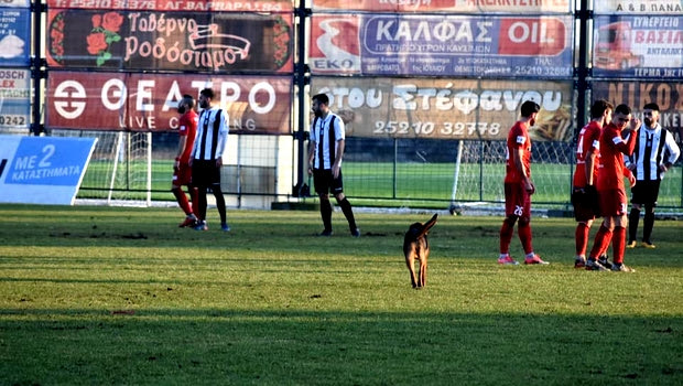 Κισσαμικός για το ματς στη Δράμα: “Συνεχόμενες ‘εισβολές’ σκύλων σε επιθέσεις μας στο β’ ημίχρονο”