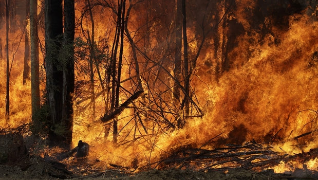 Πυρκαγιές Αυστραλία: Πάνω από εξακόσιες χιλιάδες ευρώ οι δωρεές από τους τενίστες