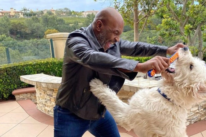 Mike Tyson: “Είμαι στην καλύτερη φόρμα της ζωής μου”